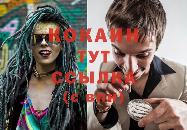 дживик Аркадак