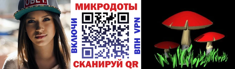 Псилоцибиновые грибы мухоморы  где найти наркотики  Нововоронеж 