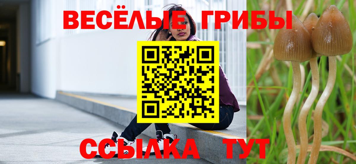 Псилоцибиновые грибы мухоморы Нововоронеж