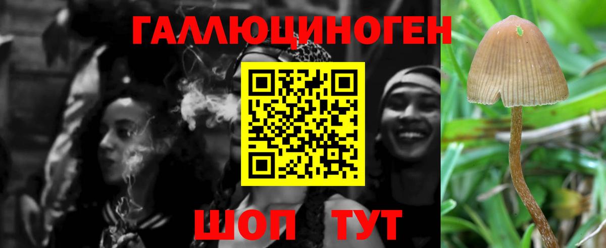 где можно купить наркотик  Галлюциногенные грибы мухоморы  Вход с VPN  Нововоронеж  Псилоцибиновые грибы мухоморы 