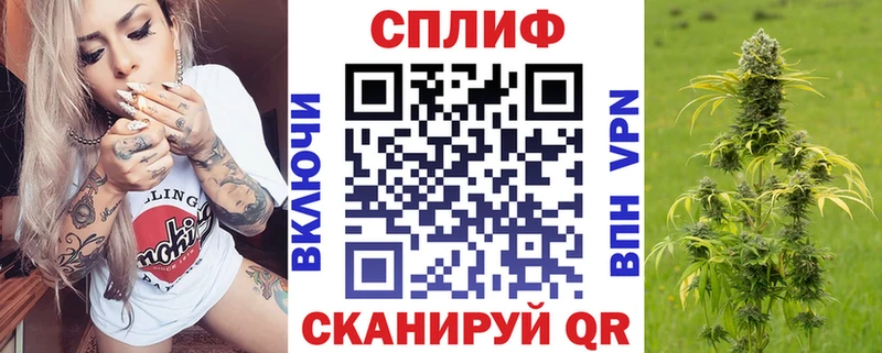 Конопля план  маркетплейс официальный сайт  Нововоронеж 